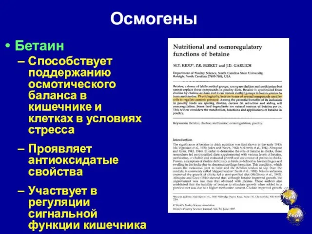 Осмогены Бетаин Способствует поддержанию осмотического баланса в кишечнике и клетках в условиях