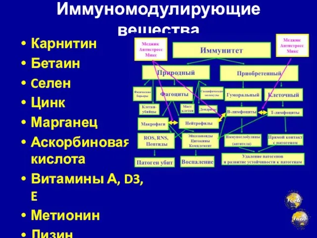 Иммуномодулирующие вещества Карнитин Бетаин Cелен Цинк Марганец Аскорбиновая кислота Витамины А, D3, E Метионин Лизин