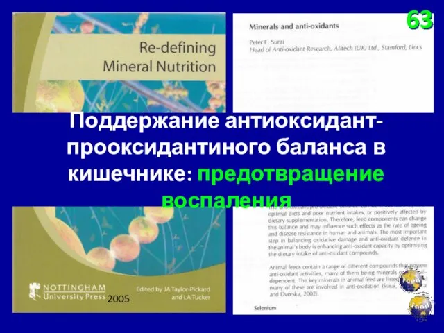 63 Поддержание антиоксидант-прооксидантиного баланса в кишечнике: предотвращение воспаления 2005