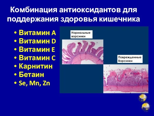 Комбинация антиоксидантов для поддержания здоровья кишечника Витамин A Витамин D Витамин E