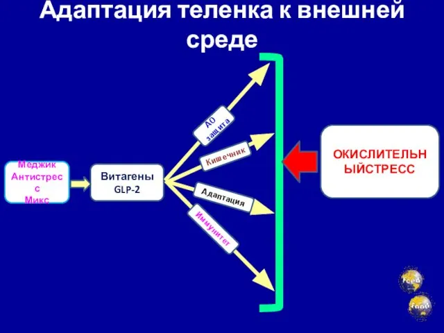 Меджик Антистресс Микс Витагены GLP-2 ОКИСЛИТЕЛЬНЫЙСТРЕСС АО защита Кишечник Адаптация теленка к внешней среде Иммунитет Адаптация