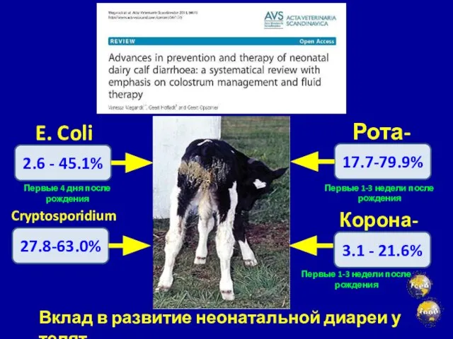 2.6 - 45.1% Cryptosporidium E. Coli Рота-вирусы Корона-вирусы 27.8-63.0% 17.7-79.9% 3.1 -