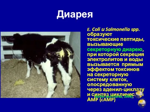 Диарея E. Coli и Salmonella spp. образуют токсические пептиды, вызывающие секреторную диарею,