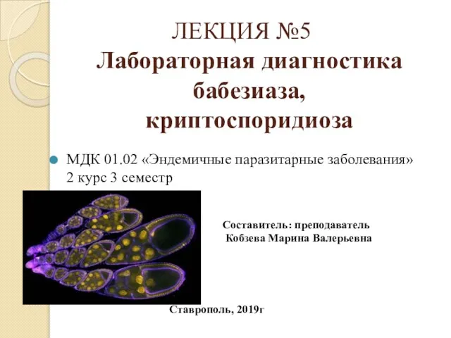 ЛЕКЦИЯ №5 Лабораторная диагностика бабезиаза, криптоспоридиоза МДК 01.02 «Эндемичные паразитарные заболевания» 2