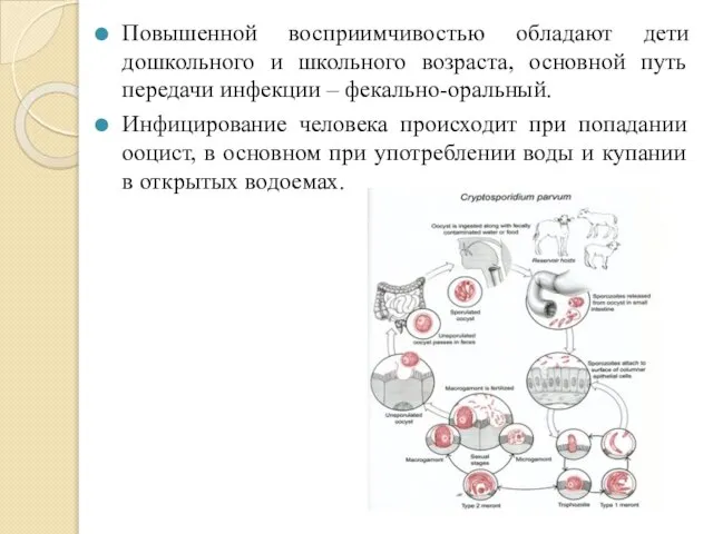 Повышенной восприимчивостью обладают дети дошкольного и школьного возраста, основной путь передачи инфекции