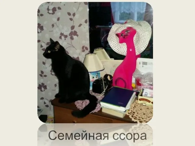 Семейная ссора