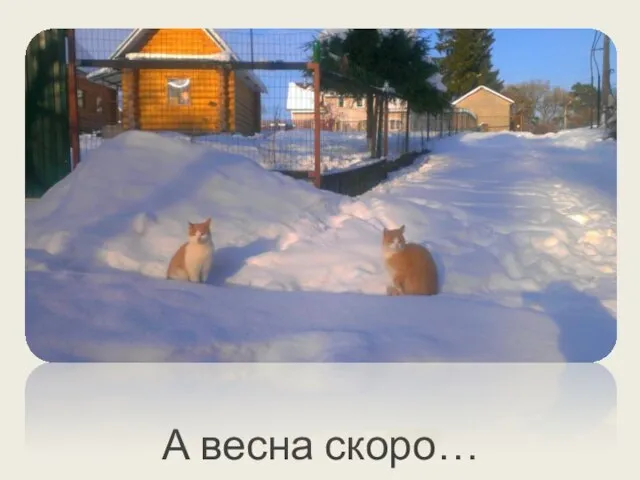 А весна скоро…