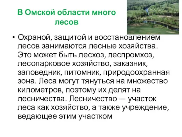 В Омской области много лесов Охраной, защитой и восстановлением лесов занимаются лесные