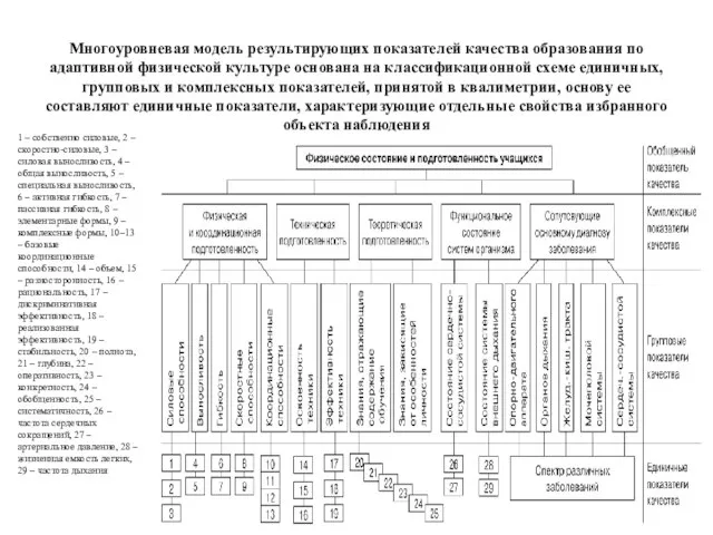 Многоуровневая модель результирующих показателей качества образования по адаптивной физической культуре основана на