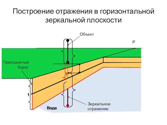 Построение отражения в горизонтальной зеркальной плоскости 1 Зеркальное отражение Объект Вода 1 Р