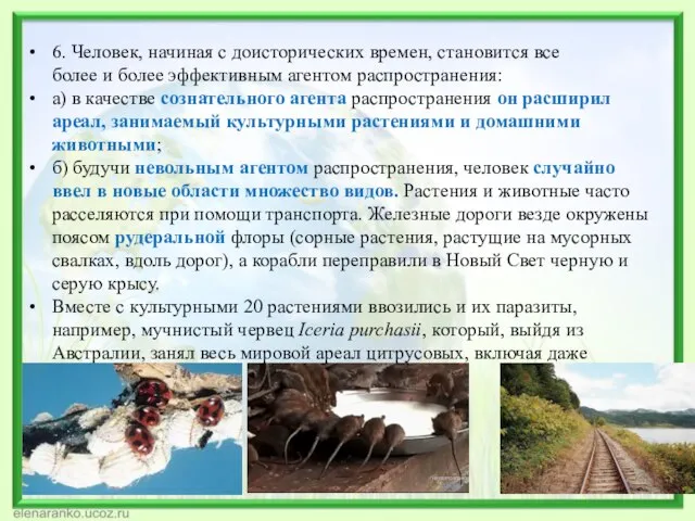 6. Человек, начиная с доисторических времен, становится все более и более эффективным