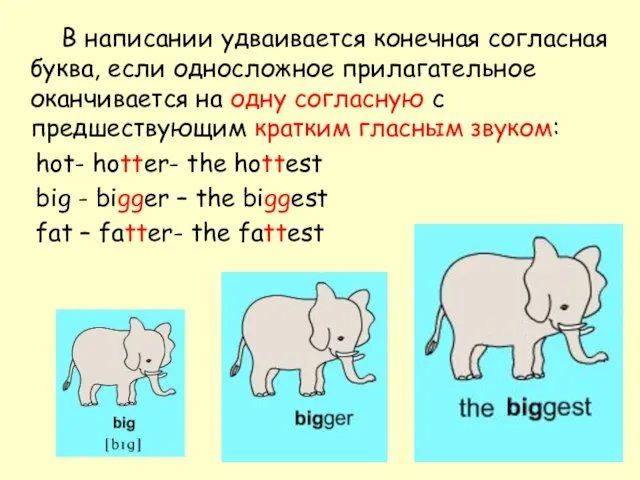 В написании удваивается конечная согласная буква, если односложное прилагательное оканчивается на одну