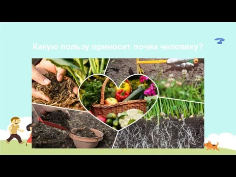 Какую пользу приносит почва человеку?