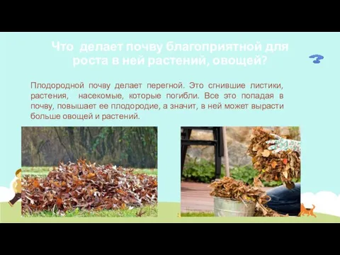 Что делает почву благоприятной для роста в ней растений, овощей? Плодородной почву