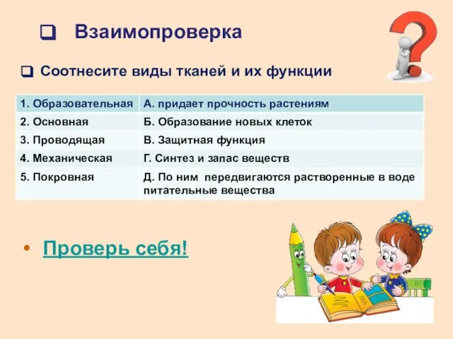 Взаимопроверка Соотнесите виды тканей и их функции Проверь себя!