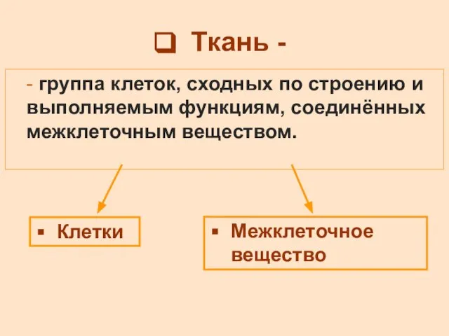 Ткань - - группа клеток, сходных по строению и выполняемым функциям, соединённых