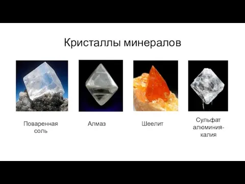 Кристаллы минералов Поваренная соль Алмаз Шеелит Сульфат алюминия-калия