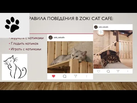 ПРАВИЛА ПОВЕДЕНИЯ В ZOKI CAT CAFE: Нужно: Мурчать с котиками Гладить котиков Играть с котиками