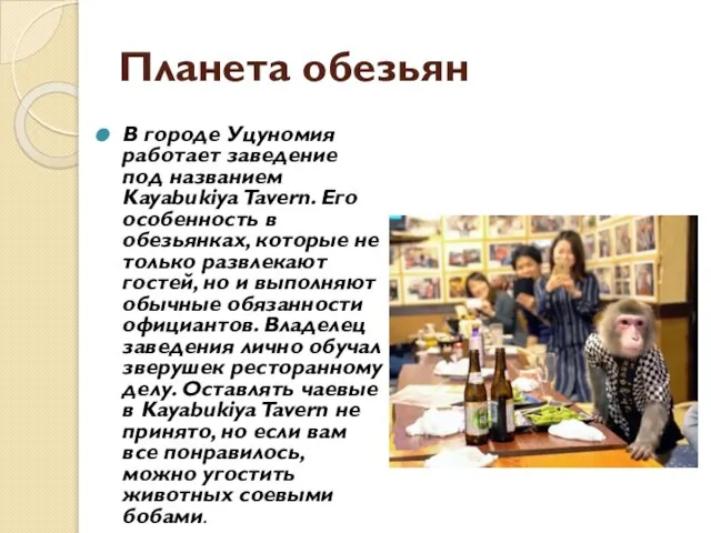 Планета обезьян В городе Уцуномия работает заведение под названием Kayabukiya Tavern. Его