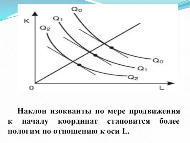 Наклон изокванты по мере продвижения к началу координат становится более пологим по отношению к оси L.