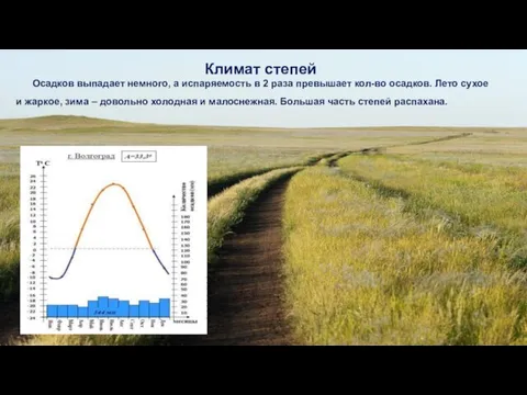 Климат степей Осадков выпадает немного, а испаряемость в 2 раза превышает кол-во