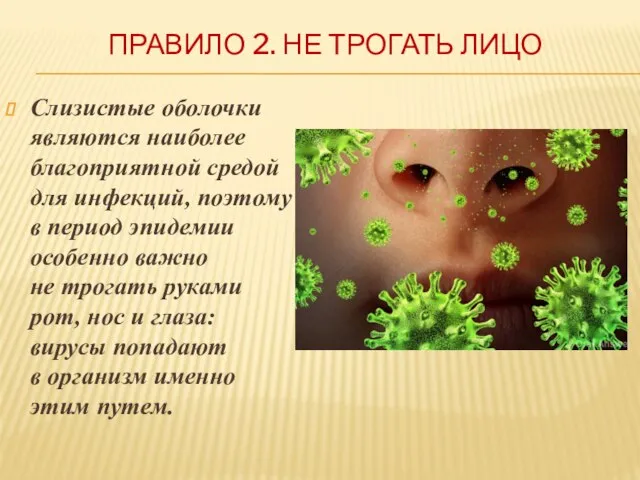 ПРАВИЛО 2. НЕ ТРОГАТЬ ЛИЦО Слизистые оболочки являются наиболее благоприятной средой для