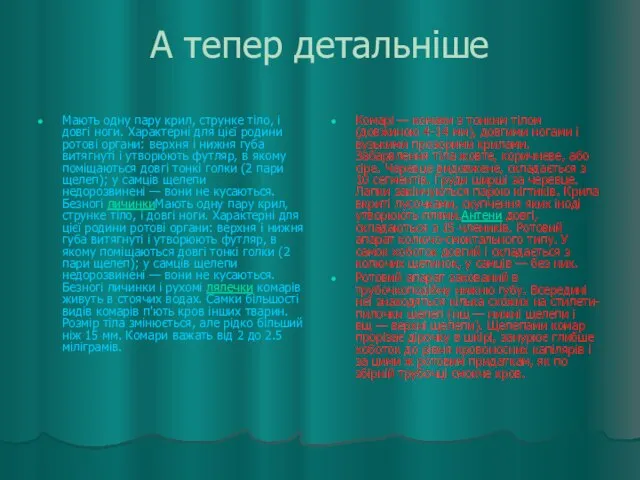 А тепер детальніше Мають одну пару крил, струнке тіло, і довгі ноги.