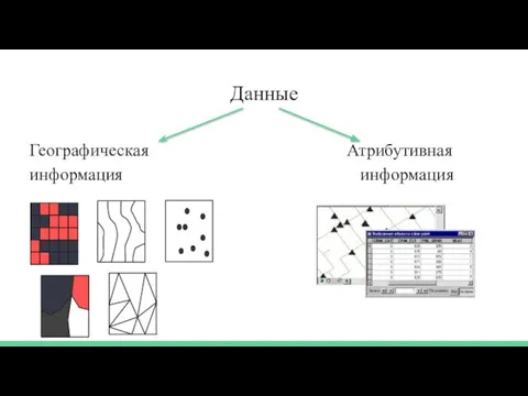 Данные Географическая Атрибутивная информация информация