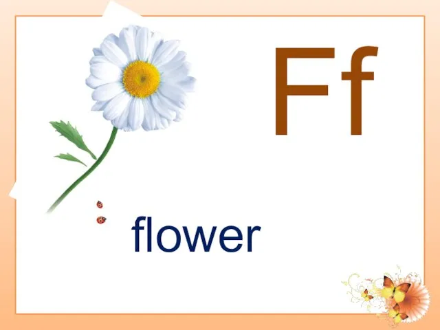 Ff flower