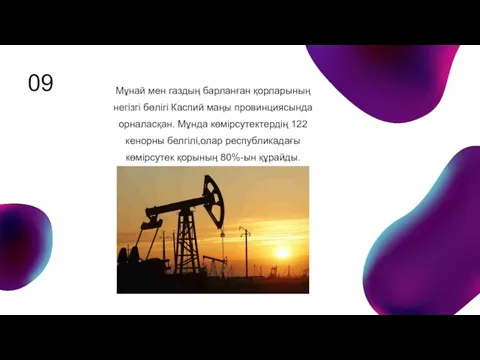 Мұнай мен газдың барланған қорларының негізгі бөлігі Каспий маңы провинциясында орналасқан. Мұнда