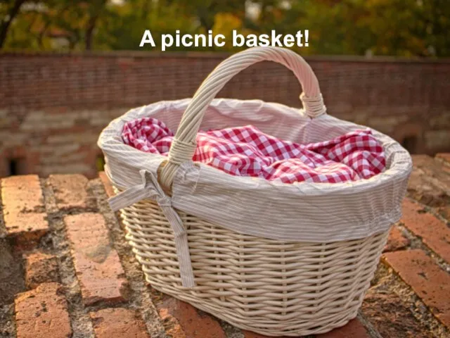 A picnic basket!