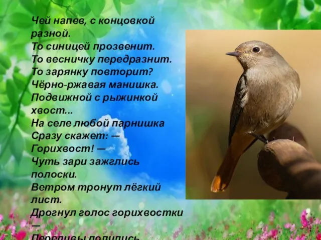 Чей напев, с концовкой разной. То синицей прозвенит. То весничку передразнит. То