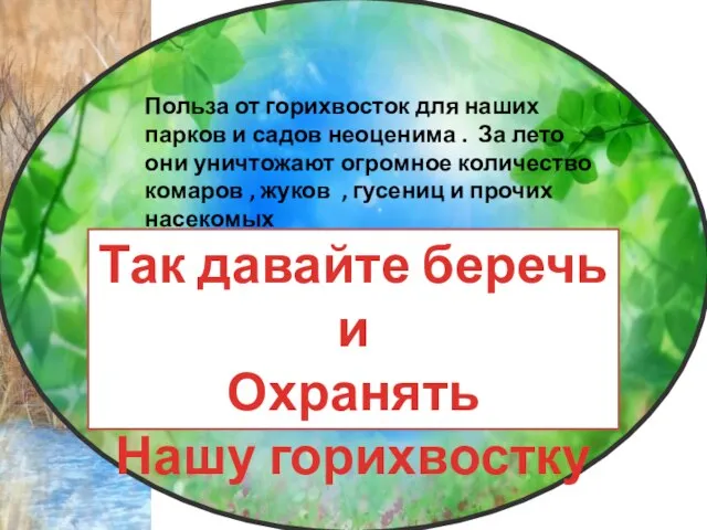 Польза от горихвосток для наших парков и садов неоценима . За лето