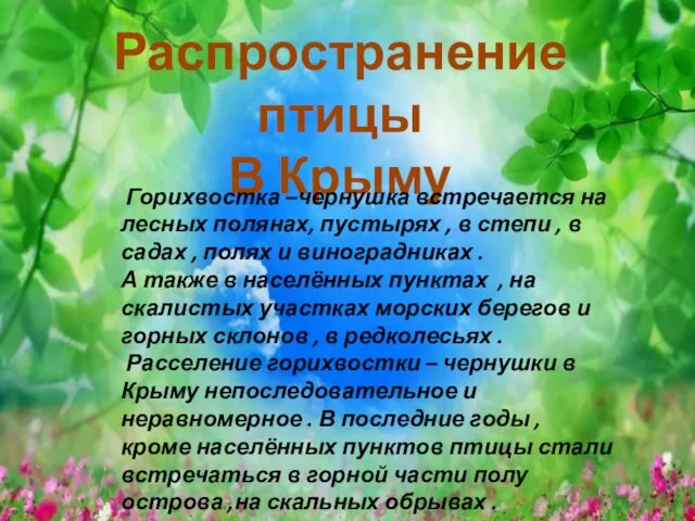 Распространение птицы В Крыму Горихвостка –чернушка встречается на лесных полянах, пустырях ,