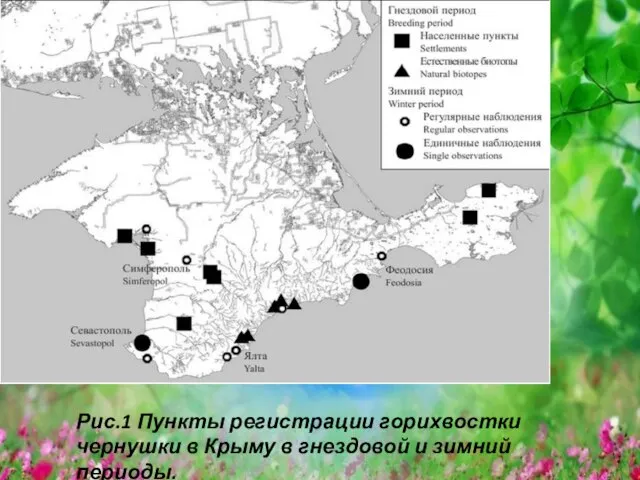 Рис.1 Пункты регистрации горихвостки чернушки в Крыму в гнездовой и зимний периоды.