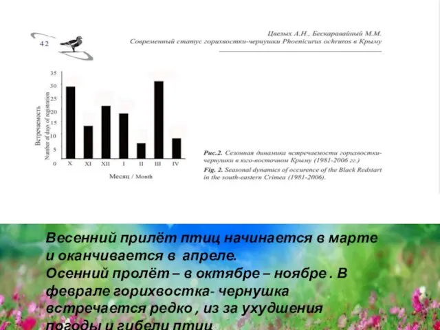 Весенний прилёт птиц начинается в марте и оканчивается в апреле. Осенний пролёт