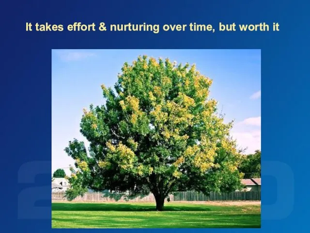 It takes effort & nurturing over time, but worth it