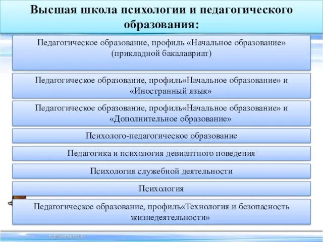 Высшая школа психологии и педагогического образования: Педагогическое образование, профиль «Начальное образование» (прикладной