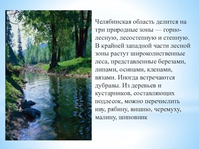 Челябинская область делится на три природные зоны — горно-лесную, лесостепную и степную.