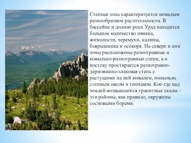 Степная зона характеризуется немалым разнообразием растительности. В бассейне и долине реки Урал