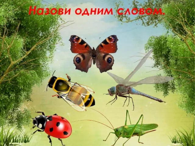 Назови одним словом.