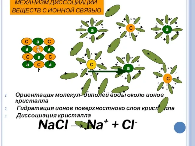 МЕХАНИЗМ ДИССОЦИАЦИИ ВЕЩЕСТВ С ИОННОЙ СВЯЗЬЮ Ориентация молекул- диполей воды около ионов