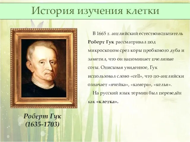 Роберт Гук (1635-1703) В 1665 г. английский естествоиспытатель Роберт Гук рассматривал под