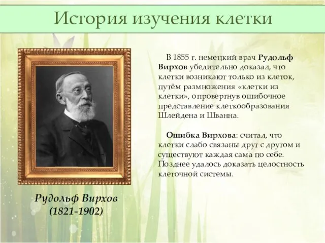 В 1855 г. немецкий врач Рудольф Вирхов убедительно доказал, что клетки возникают