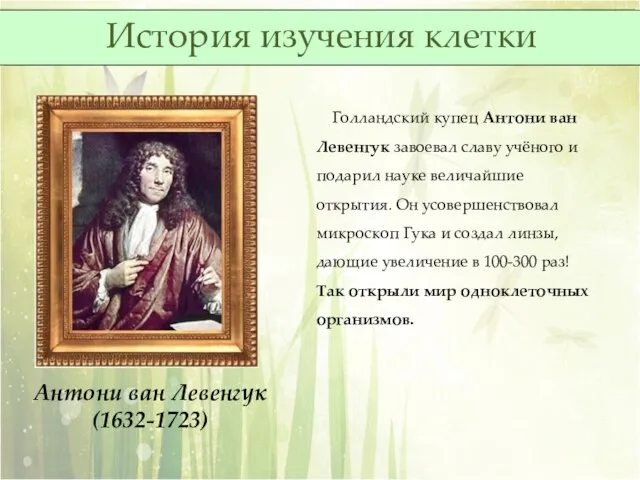 Голландский купец Антони ван Левенгук завоевал славу учёного и подарил науке величайшие