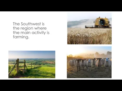 The Southwest is the region where the main activity is farming.