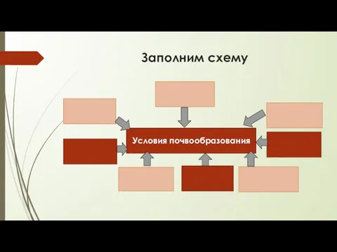 Заполним схему Условия почвообразования