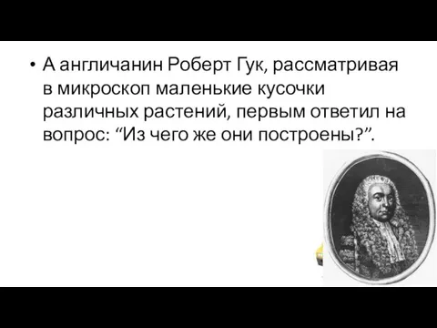 А англичанин Роберт Гук, рассматривая в микроскоп маленькие кусочки различных растений, первым