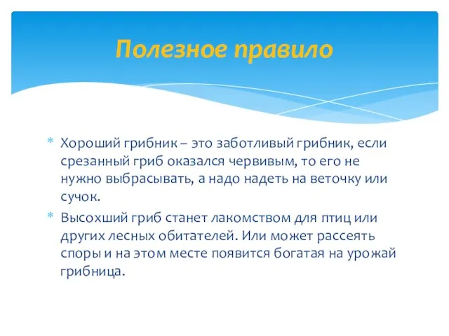 Хороший грибник – это заботливый грибник, если срезанный гриб оказался червивым, то