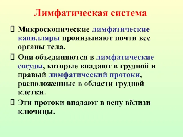 Микроскопические лимфатические капилляры пронизывают почти все органы тела. Они объединяются в лимфатические